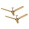 ceiling-fan-1563513103-5004962